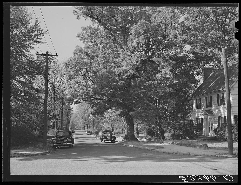 [Untitled photo, possibly related to: Street in Chapel Hill, North Carolina]. Sourced from the Library of Congress.