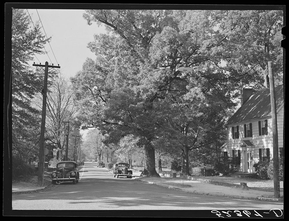 Street in Chapel Hill, North Carolina. Sourced from the Library of Congress.