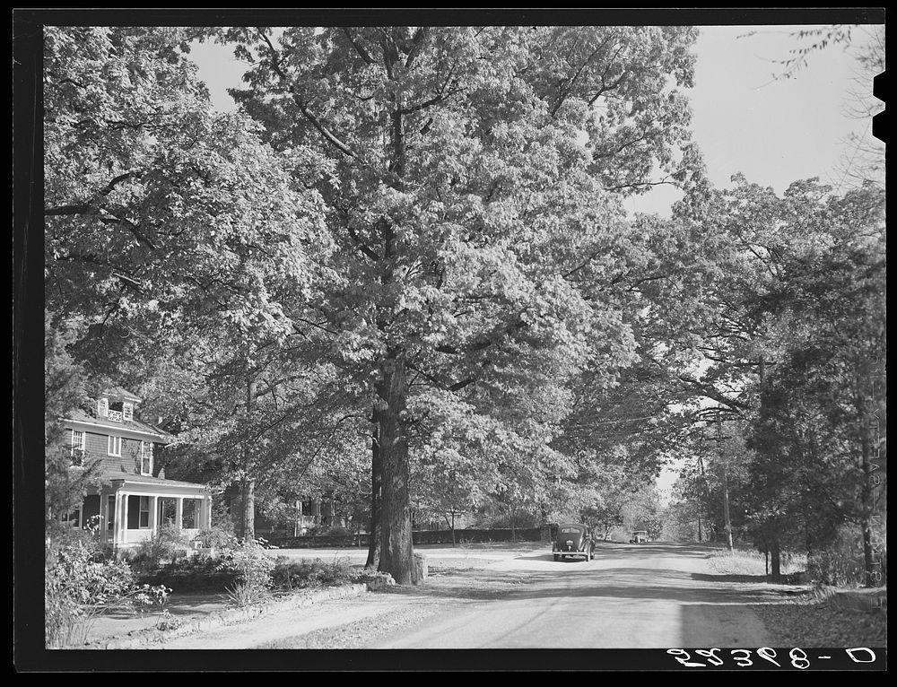 Street in Chapel Hill, North Carolina. Sourced from the Library of Congress.