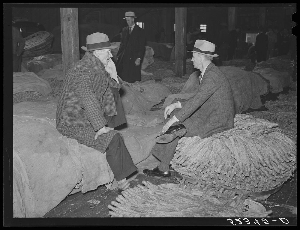 Farmers sitting around and talking inside tobacco warehouse while waiting for auction sale. Durham, North Carolina. Sourced…