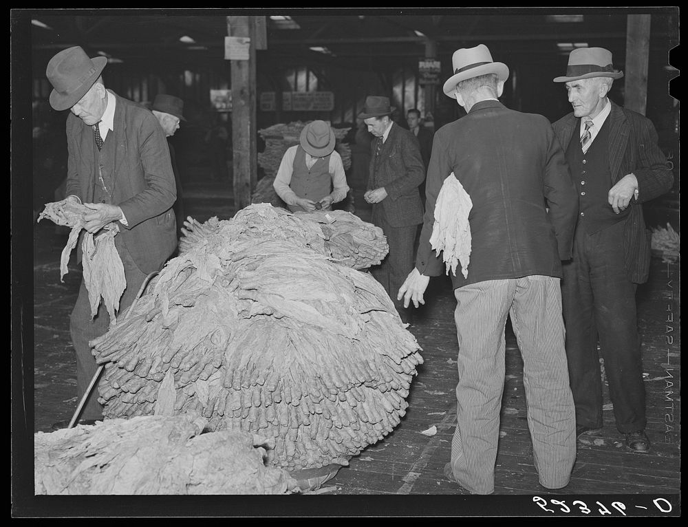 Farmers examine each others' tobacco to see what price it has brought after auction sale in warehouse. Durham, North…