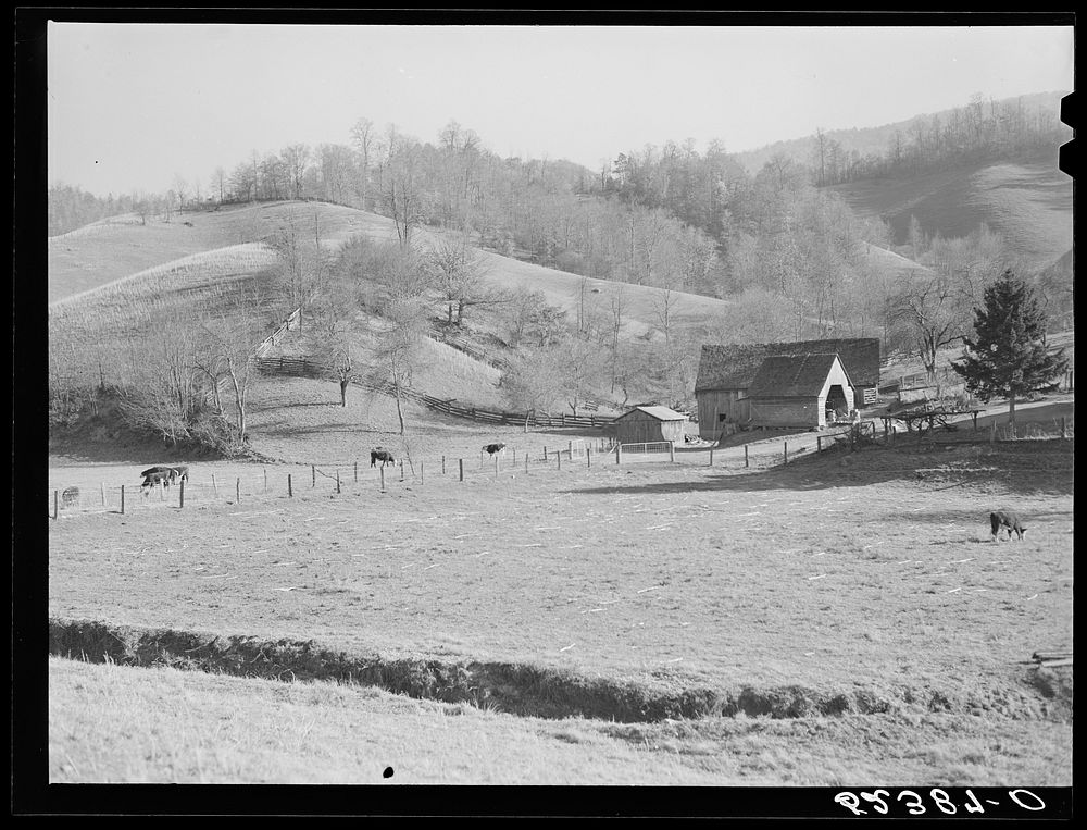 Farm scene near Asheville, North Carolina. Sourced from the Library of Congress.