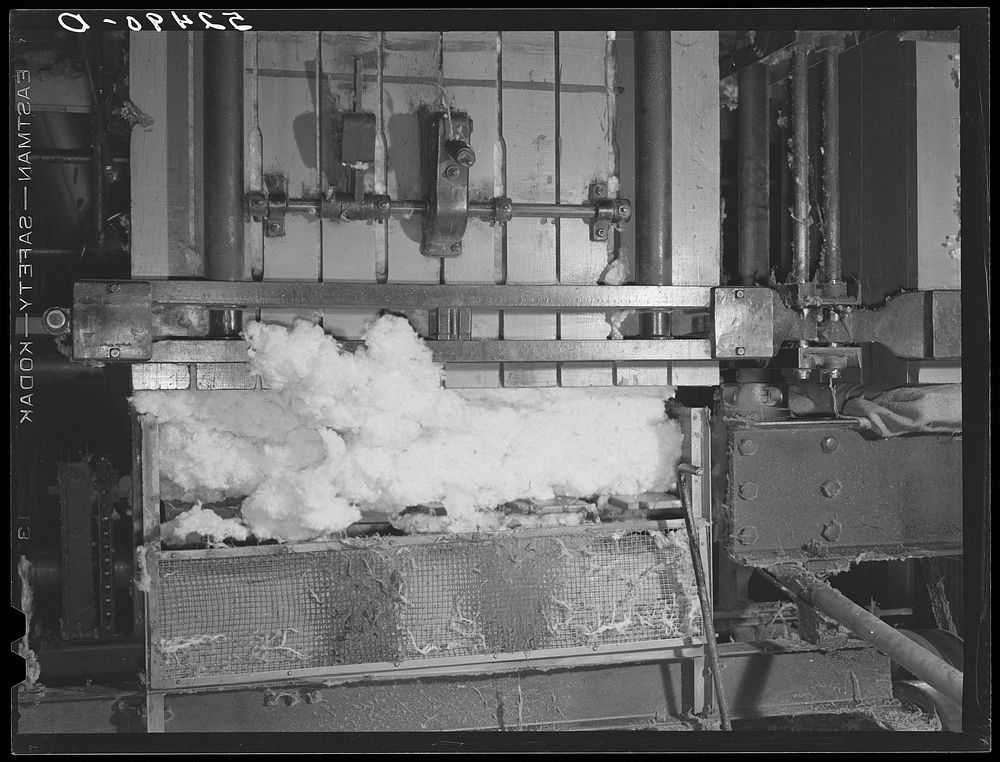 Pressing the cotton into a bale at gin. Hopson Plantation, Clarksdale, Mississippi Delta. Sourced from the Library of…
