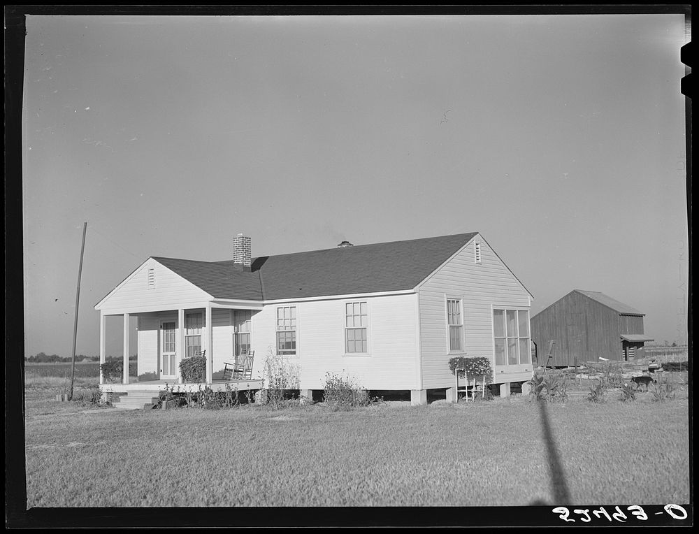 [Untitled photo, possibly related to: New home, project barn and chicken house on Sunflower Plantation project. Merigold…