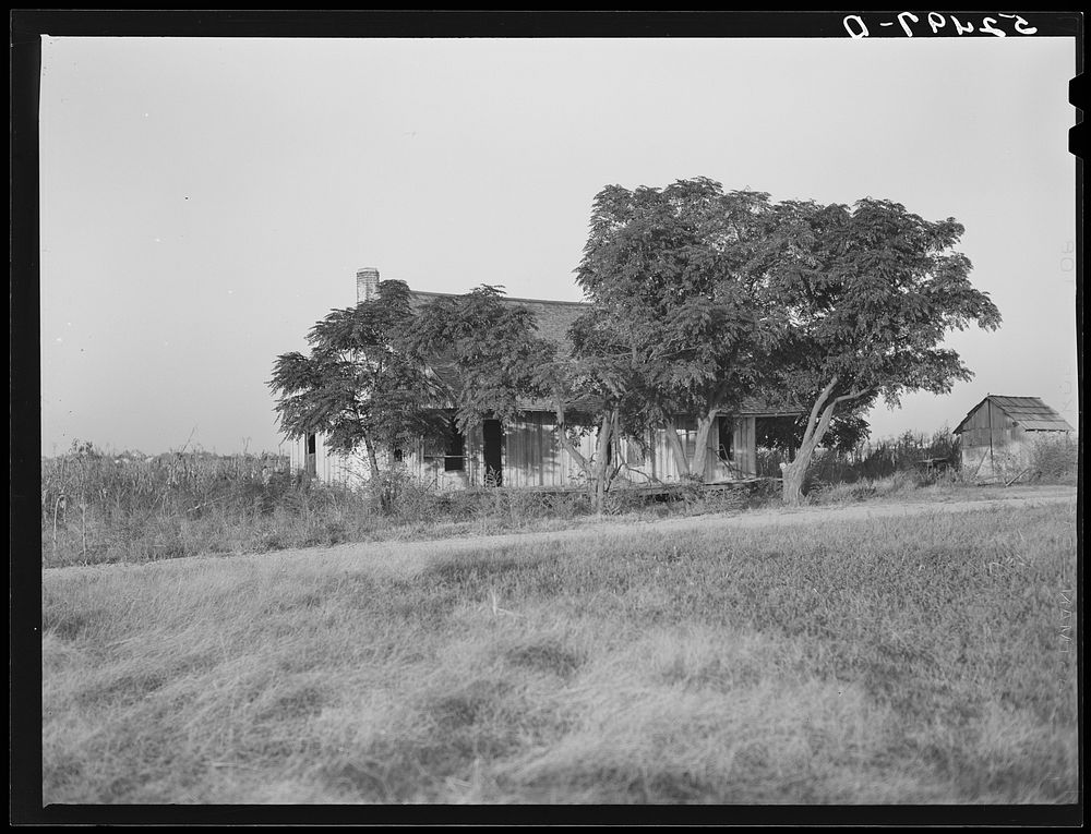 Old abandoned house on Sunflower Plantation project. Merigold, Mississippi Delta. Sourced from the Library of Congress.