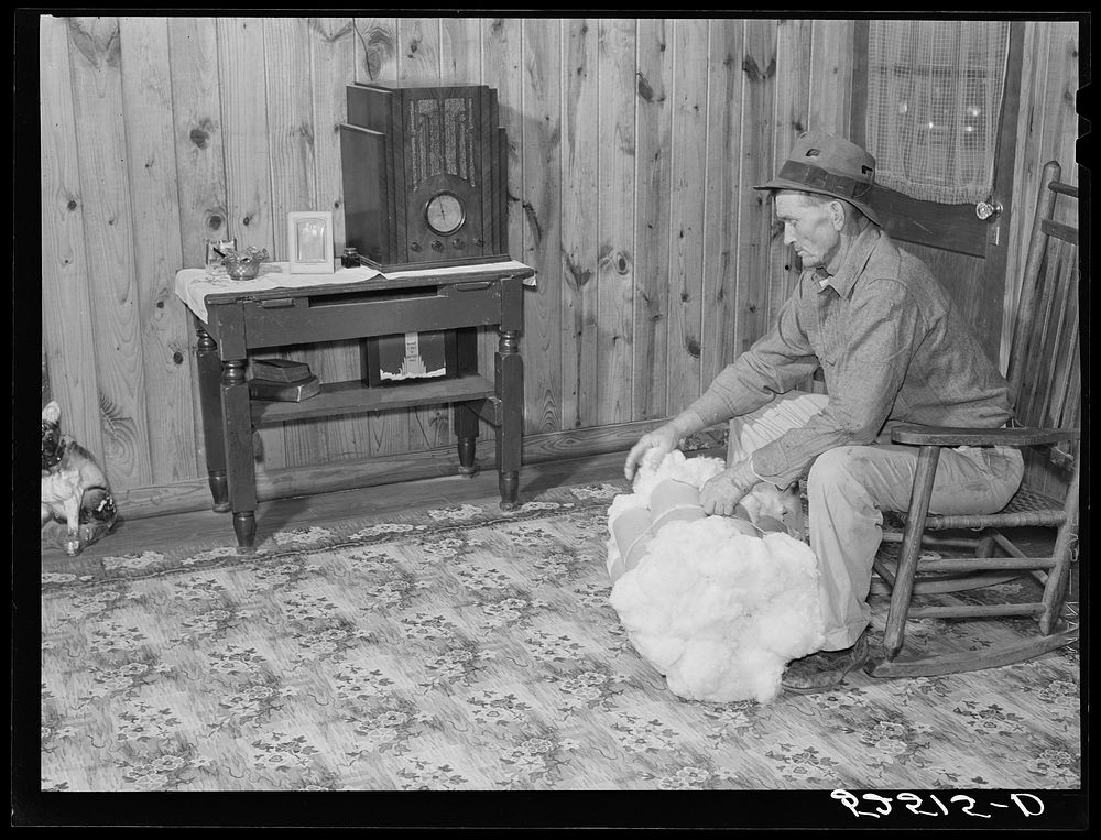 Project farmer with his cotton samples in the living room of his new home. Sunflower Plantations, Merigold, Mississippi…