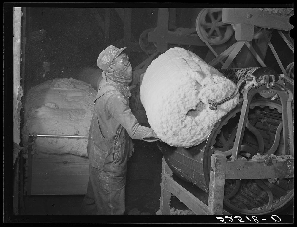 [Untitled photo, possibly related to: Rolls of lint from the cottonseed used in making of ammunitions and various cellulose…