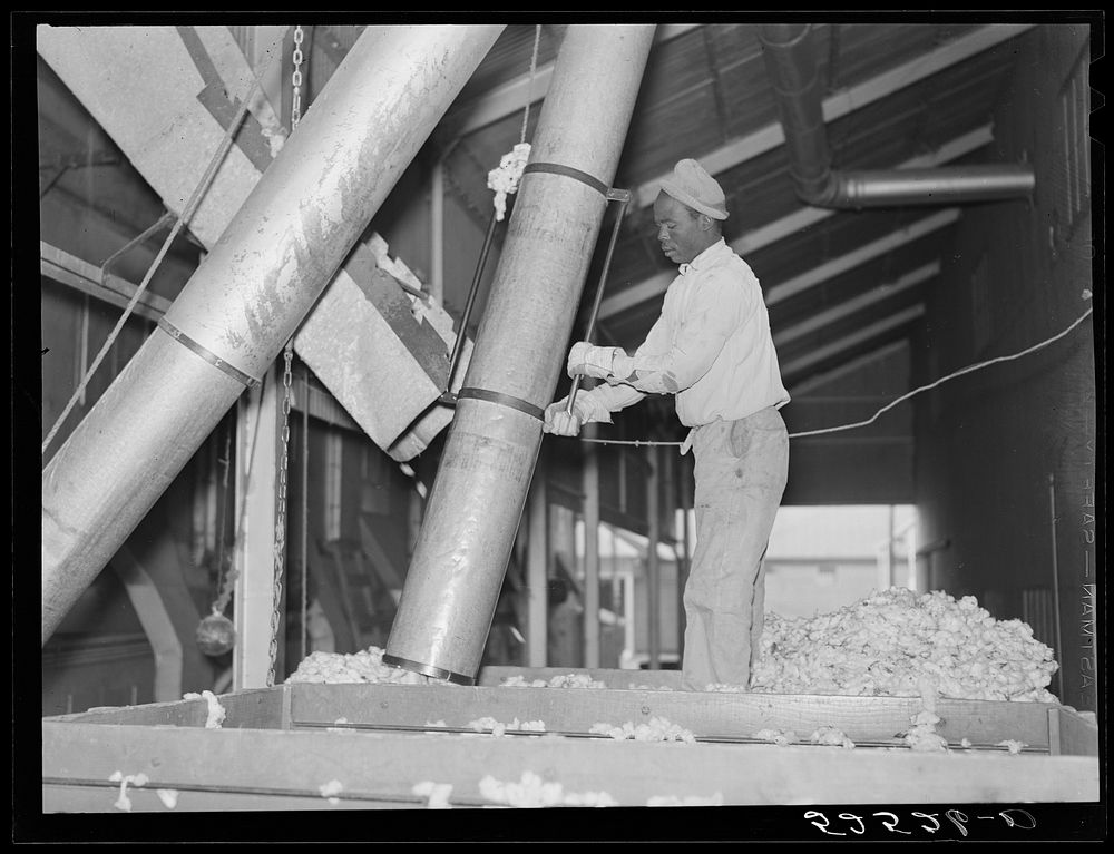 Taking the cotton from the truck into the gin through large metal suction tube. Hopson Plantation, Clarksdale, Mississippi…
