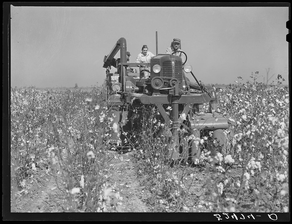 The rust cotton picker in field at Clover Hill Plantation, near Clarksdale, Mississippi Delta. Sourced from the Library of…