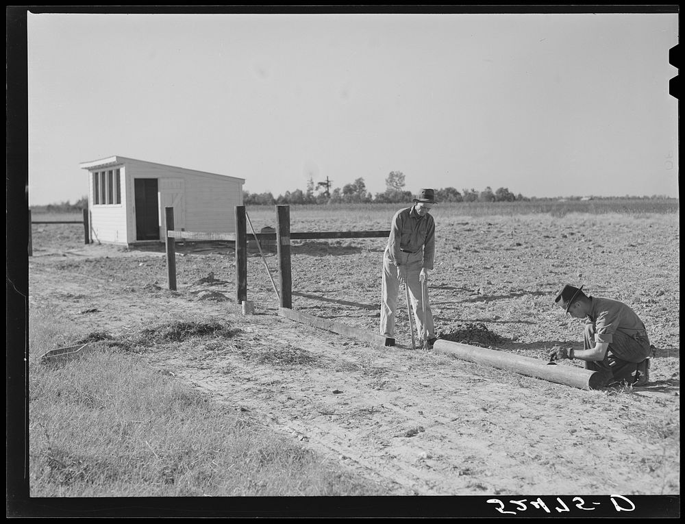 Farmer and son building fence around their field. Sunflower Plantation, Merigold, Mississippi Delta. Sourced from the…