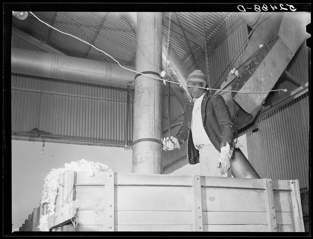 [Untitiled photo, possibly related to: Taking the cotton from the truck into the gin through large metal suction tube.…