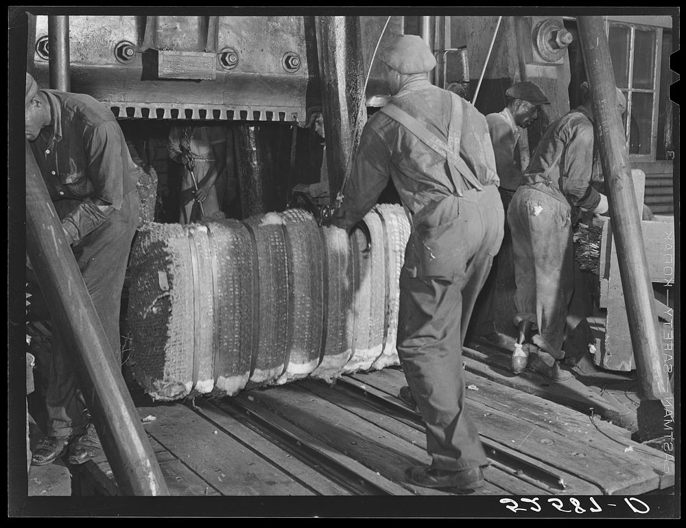Bale of cotton after compressing. Memphis, Tennessee. Sourced from the Library of Congress.