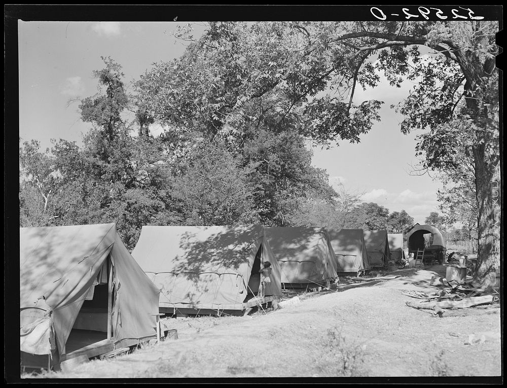 Tents for transient Mexican labor brought from Texas by contractor for the duration of cotton picking season. Hopson…