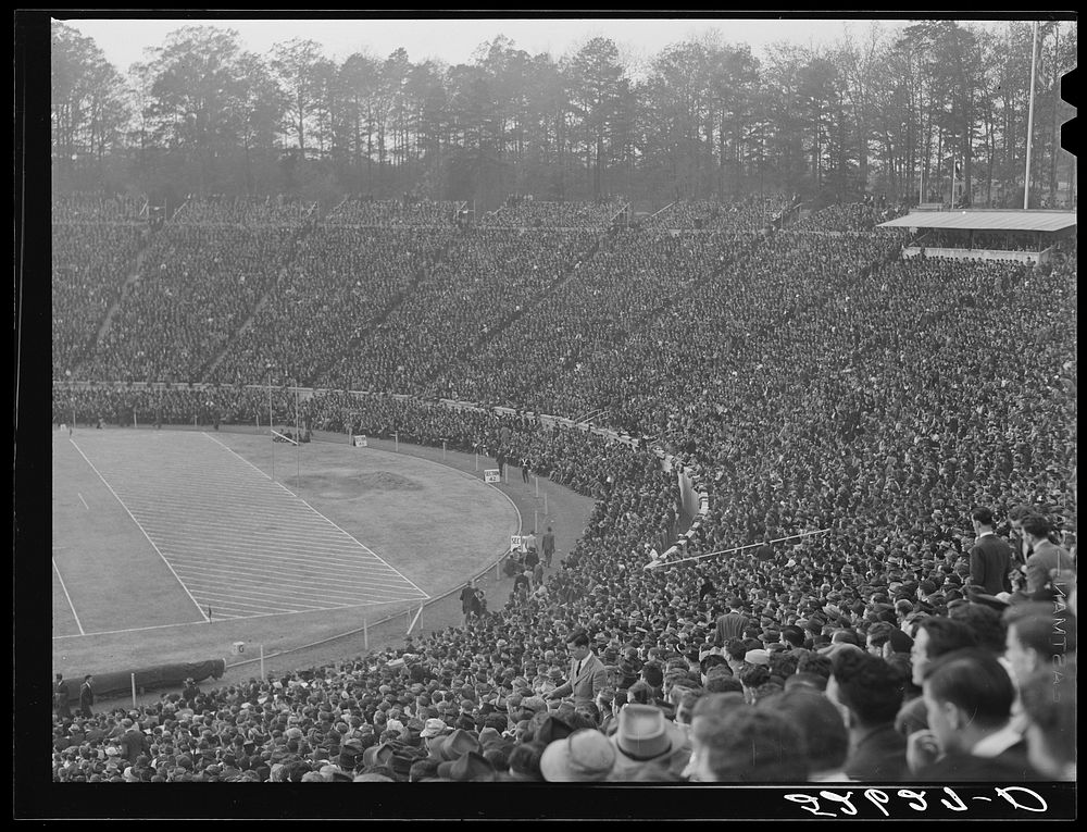 There was a crowd of 52,000 people in Duke University Stadium on day of Duke-Carolina football game. Durham, North Carolina.…