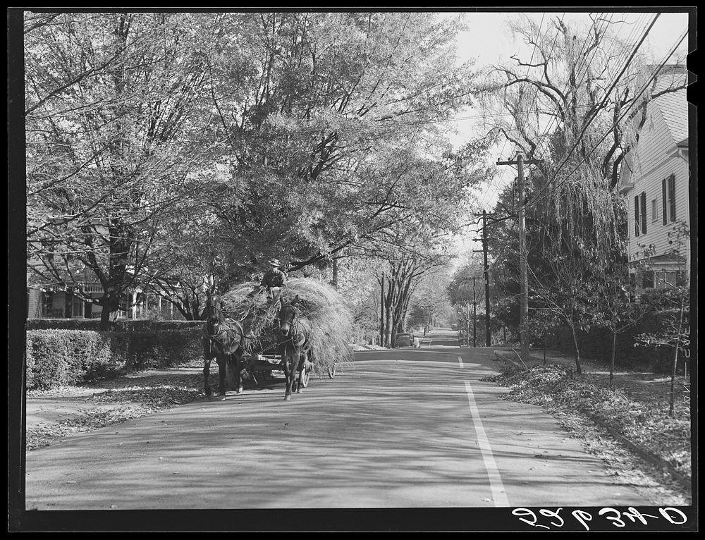 [Untitled photo, possibly related to: Street in Chapel Hill, North Carolina. Orange County]. Sourced from the Library of…