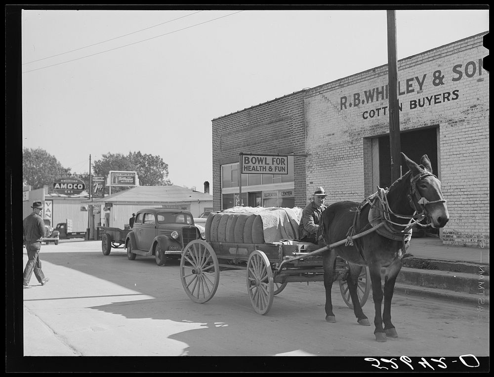 Farmer brings his bale of cotton to town to sell. Wendell, Wake County, North Carolina. Sourced from the Library of Congress.