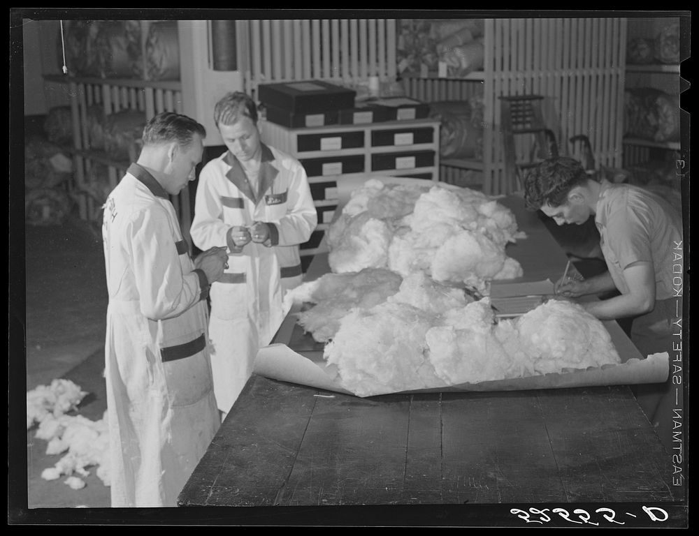 [Untitled photo, possibly related to: Classing cotton. Mid-South Cotton Growers Association, Memphis, Tennessee]. Sourced…