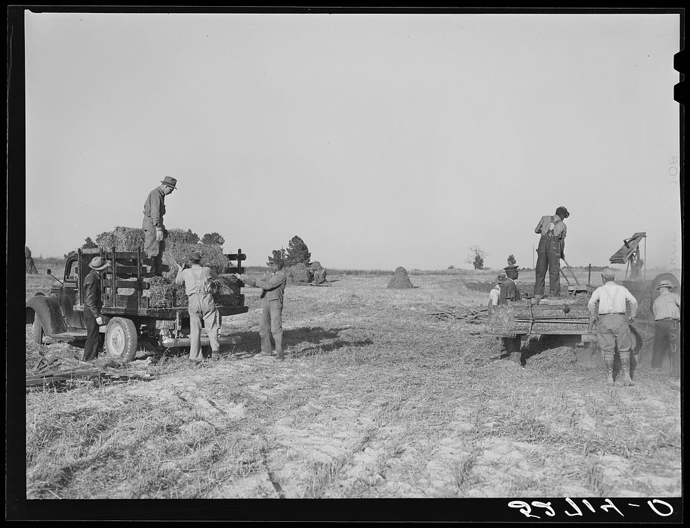 Baling hay on the Mary E. Jones place, about 140 acres. The sons, W.E. and R.E. Jones, own ninety-nine acres and about sixty…