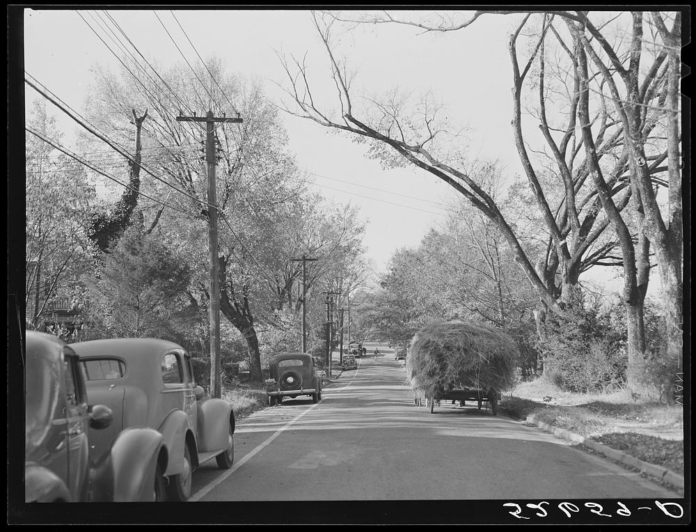Street in Chapel Hill, North Carolina. Orange County. Sourced from the Library of Congress.