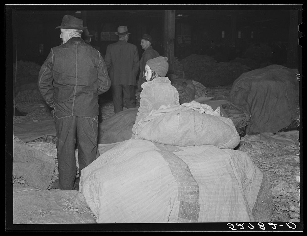Farmer and child waiting in warehouse for their tobacco to be auctioned off (it is covered with old quilts and burlap to…