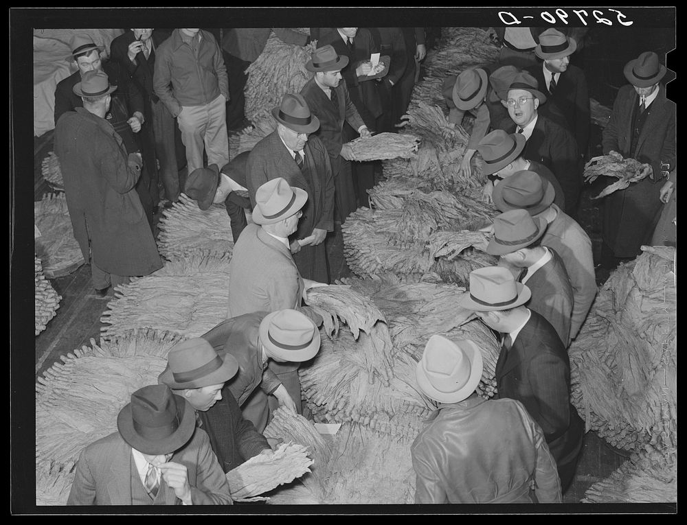 Auctioneer, buyers, and farmers during tobacco auction sale. Warehouse, Durham, North Carolina. Sourced from the Library of…