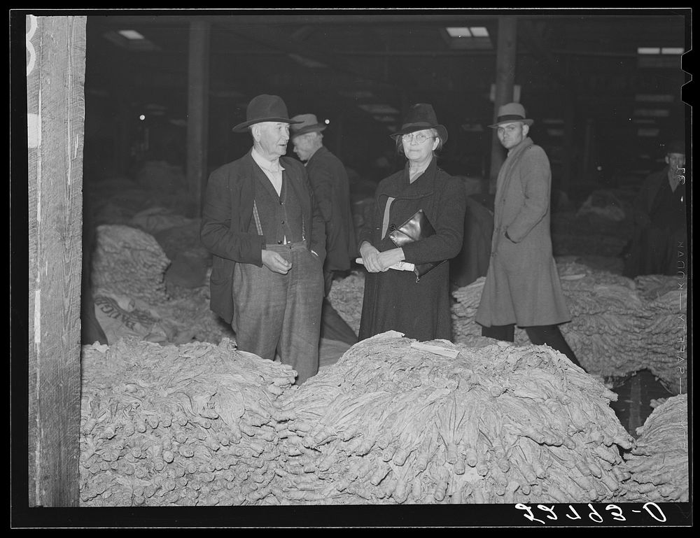 [Untitled photo, possibly related to: Auctioneer, buyers, and farmers during tobacco auction sale. Warehouse, Durham, North…