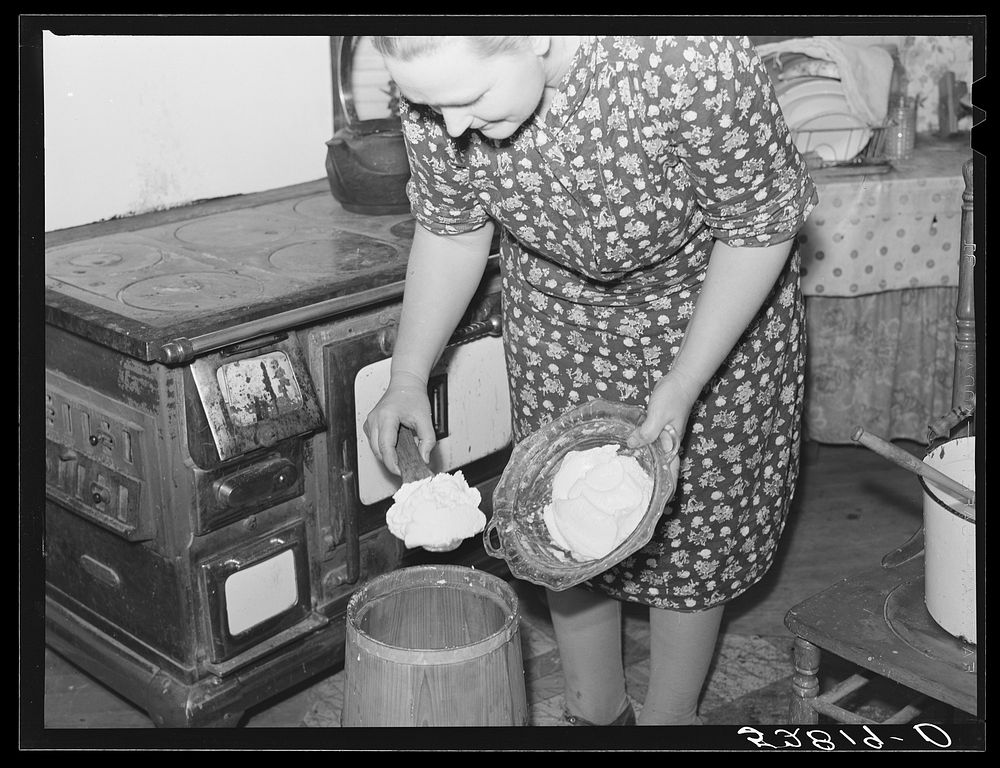 Mrs. Elvin Wilkins (Rosa) churning butter in the kitchen of their home in Tallyho, near Stem, Granville County, North…