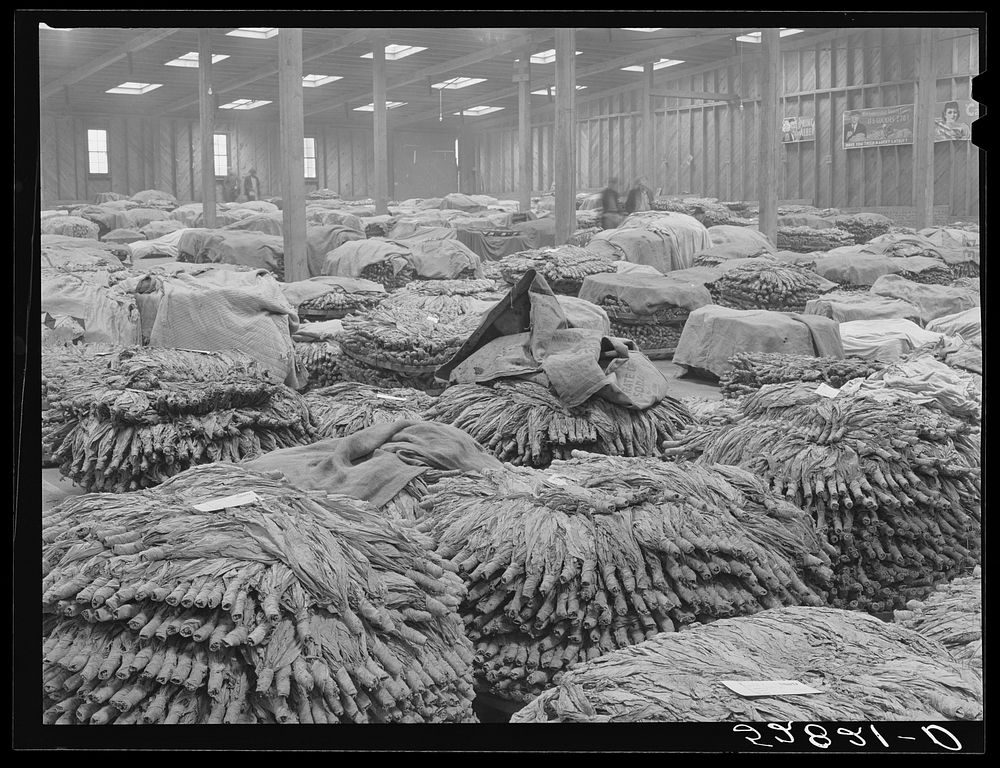 Baskets of tobacco on warehouse floor before auction sale. Durham, North Carolina. Sourced from the Library of Congress.