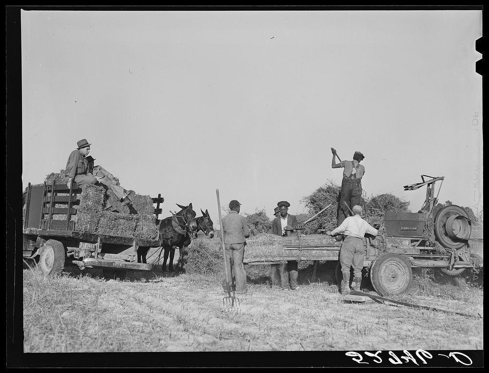 Baling hay on the Mary E. Jones place of about 140 acres. The sons W.E. and R.E. Jones own ninety-nine acres and sixty acres…