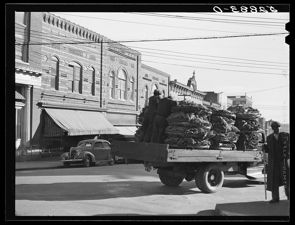 [Untitled photo, possibly related to: Tobacco warehouses on main street of South Boston, Halifax County, Virginia. A truck…