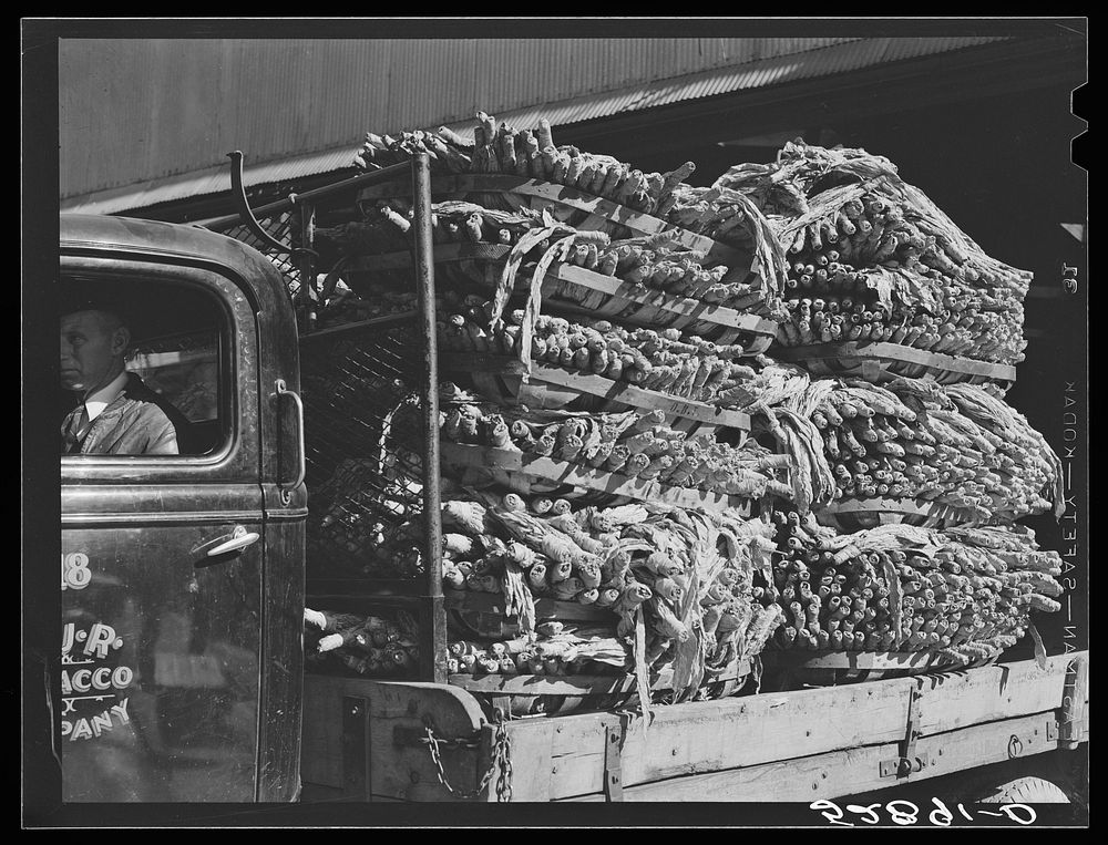 [Untitled photo, possibly related to: Truckload of tobacco going to warehouse in South Boston, Halifax County, Virginia.…
