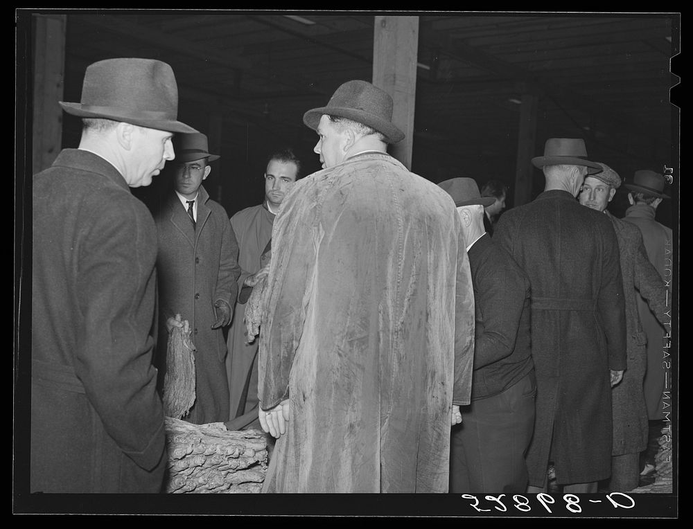 [Untitled photo, possibly related to: Warehouseman and auctioneer with buyers in background during tobacco auction sale.…