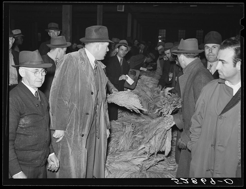 Warehouseman and auctioneer with buyers in background during tobacco auction sale. Durham, North Carolina. Sourced from the…