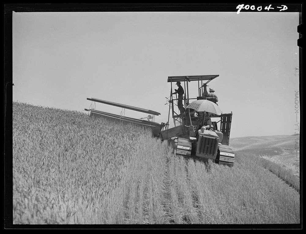 Tractor-drawn combine. Wheat fields, Whitman County, Washington by Russell Lee