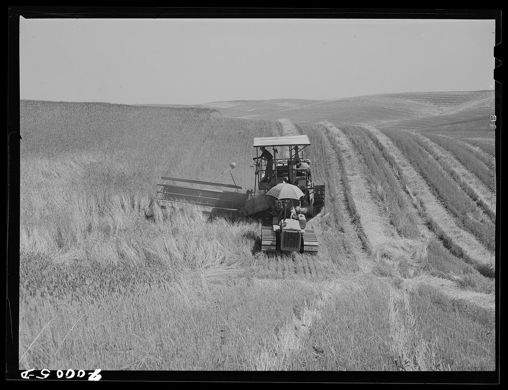 [Untitled photo, possibly related to: Tractor-drawn combine. Wheat fields, Whitman County, Washington] by Russell Lee
