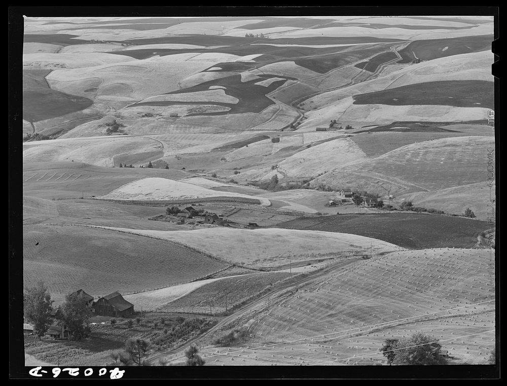 [Untitled photo, possibly related to: Wheat land. Darker fields are summer fallow. Nez Perce County, Idaho] by Russell Lee