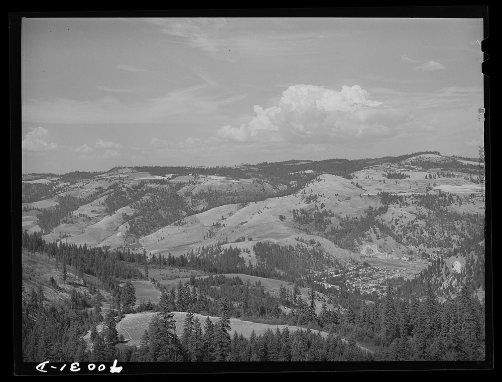 [Untitled photo, possibly related to: Looking down on Orofino, Idaho. This is a lumbering town] by Russell Lee