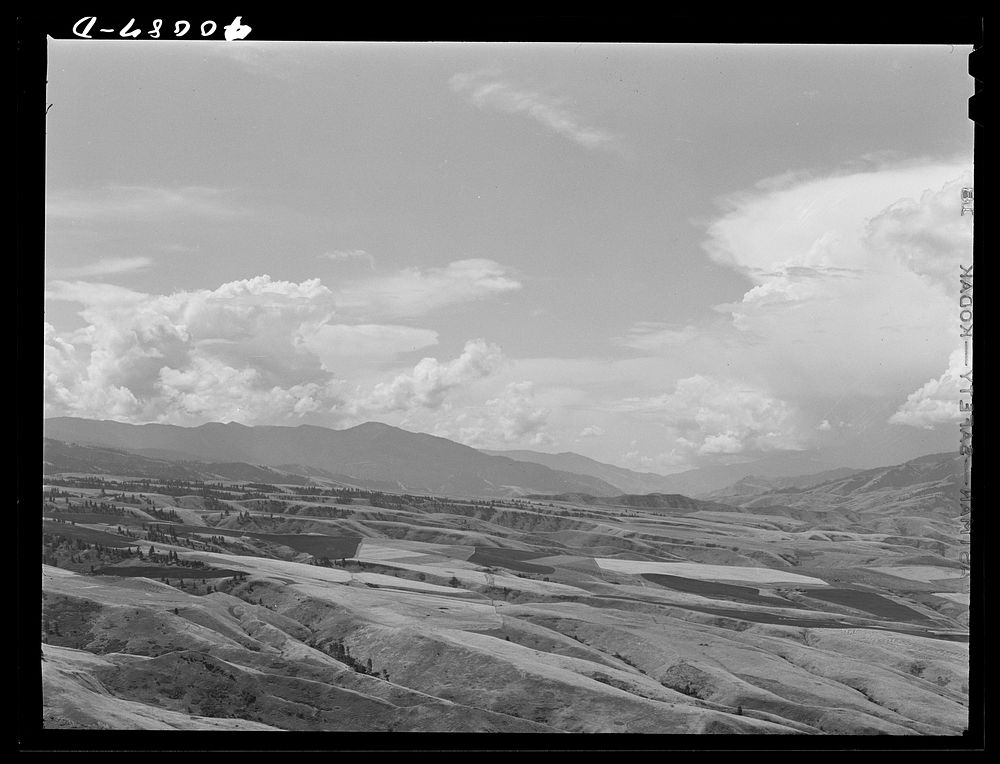 Wheat lands. Idaho County, Idaho by Russell Lee