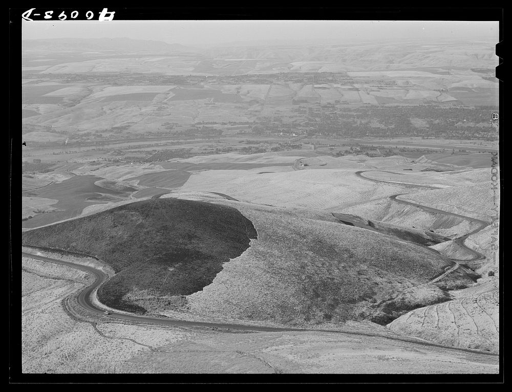 Lewiston Hill, north of Lewiston, Idaho by Russell Lee