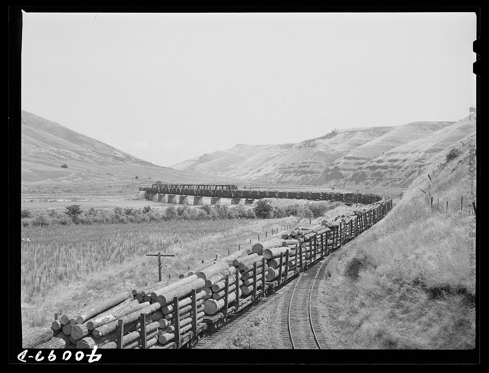 [Untitled photo, possibly related to: Logging train. Spalding Junction, Idaho] by Russell Lee