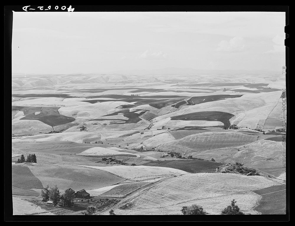 Wheat land. Darker fields are summer fallow. Nez Perce County, Idaho by Russell Lee