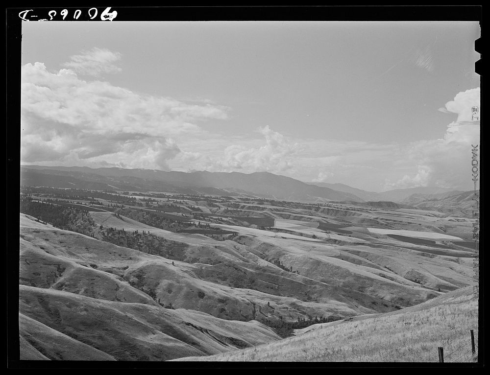 [Untitled photo, possibly related to: Wheat lands. Idaho County, Idaho] by Russell Lee
