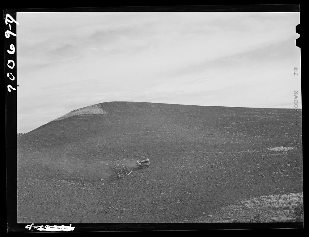 [Untitled photo, possibly related to: Harrowing summer fallow (wheat land). Nez Perce County, Idaho] by Russell Lee
