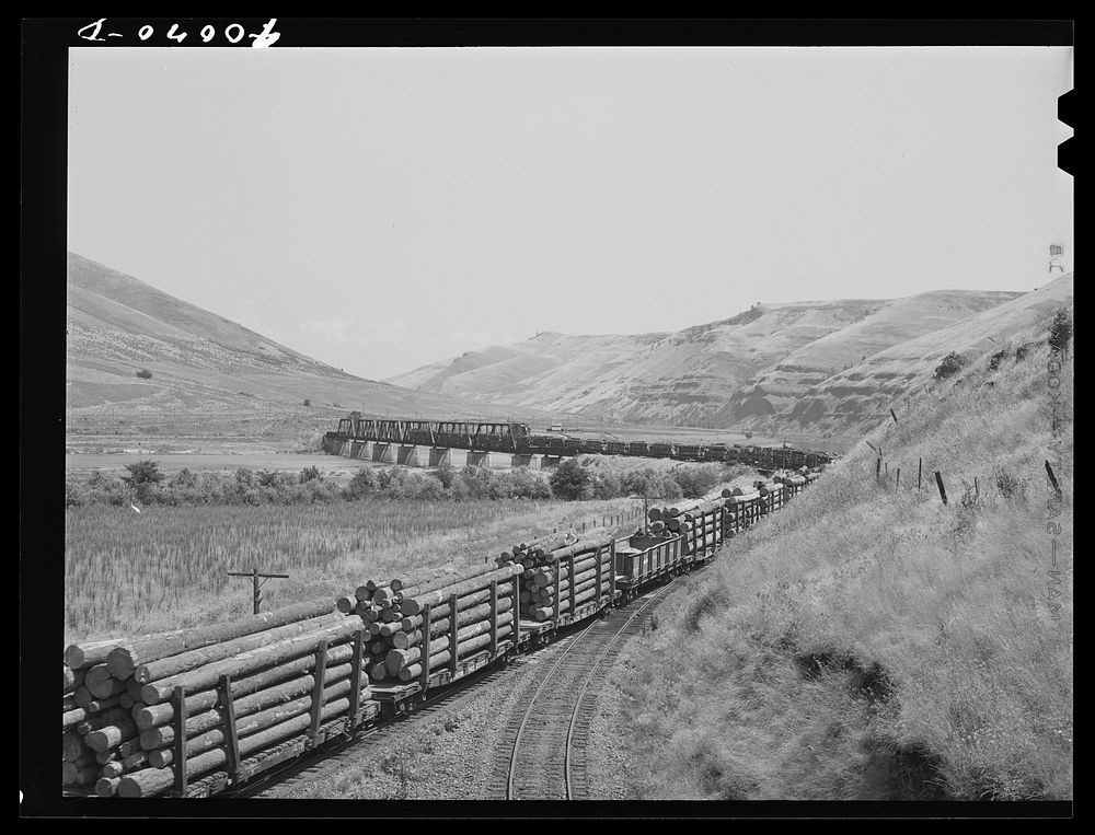 [Untitled photo, possibly related to: Logging train. Spalding Junction, Idaho] by Russell Lee