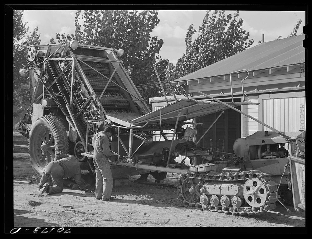 Repairing mechanical hop picker. Yakima County, Washington. This is the first year that the mechanical pickers were…