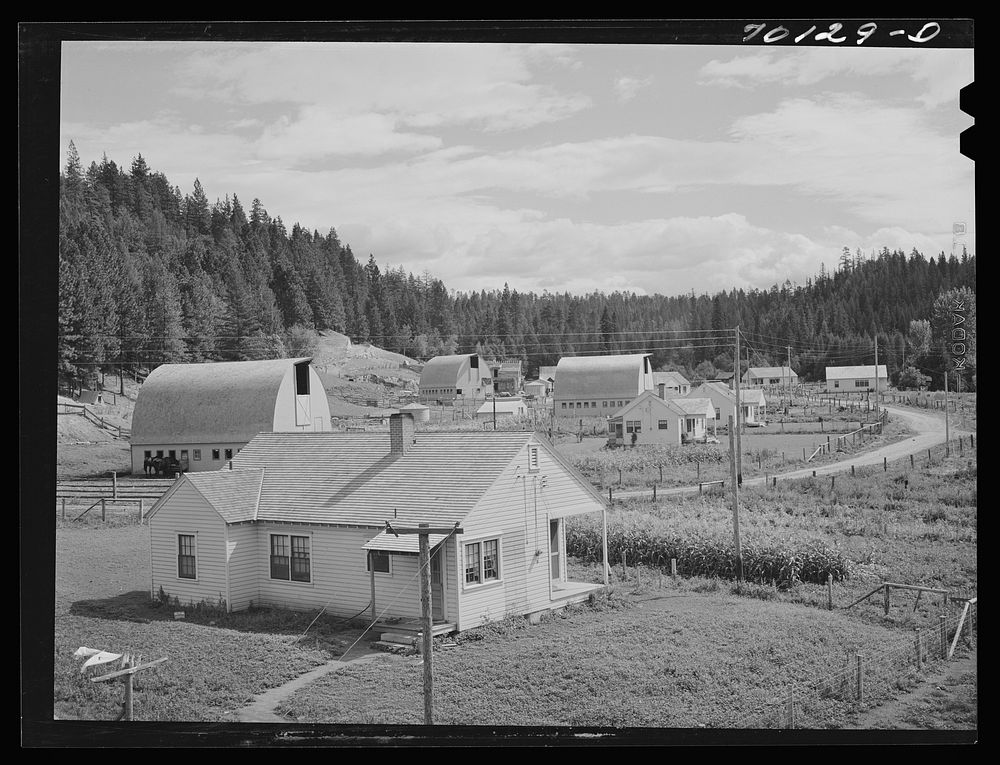 [Untitled photo, possibly related to: Farmsteads on Boundary Farms, FSA (Farm Security Administration) project. Boundary…