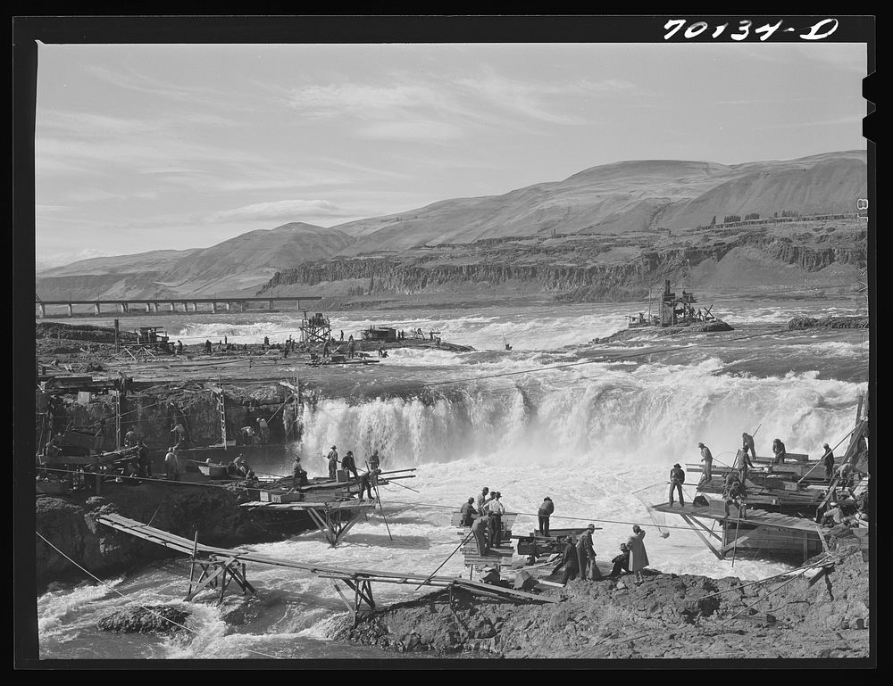 [Untitled photo, possibly related to: Indians fishing for salmon at Celilo Falls, Oregon] by Russell Lee