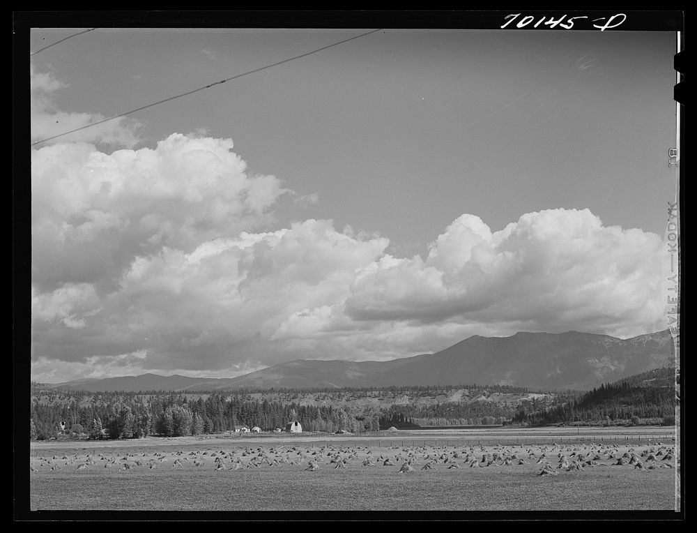 Farmland. Boundary County, Idaho by Russell Lee