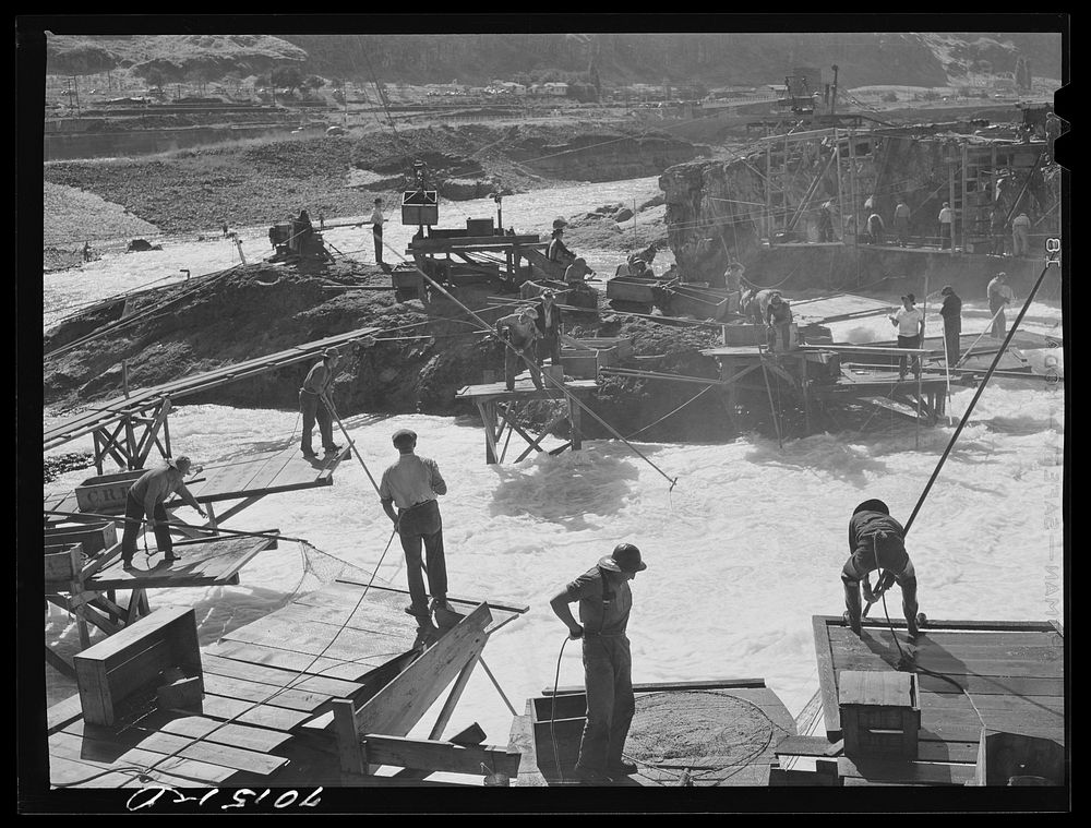 Indians fishing for salmon at Celilo Falls, Oregon. At the present time Indians have by treaty exclusive right for fishing…