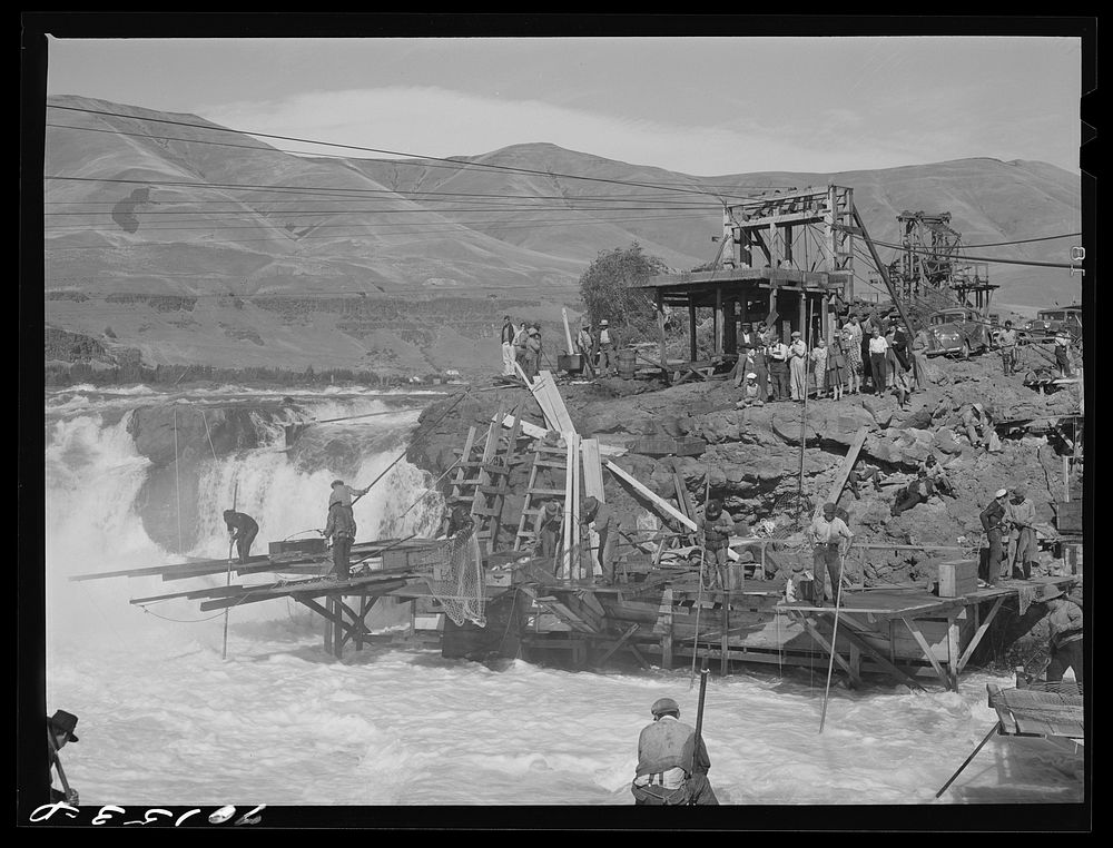 Indians fishing for salmon at Celilo Falls, Oregon by Russell Lee
